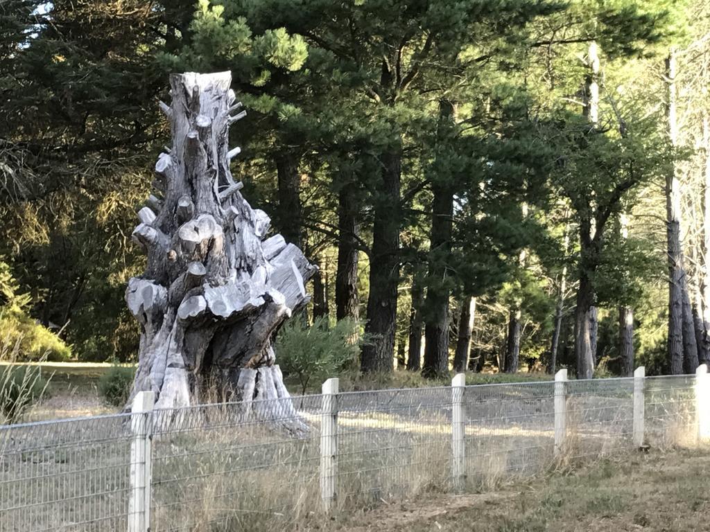 Helen'S Homestead Enfield Экстерьер фото