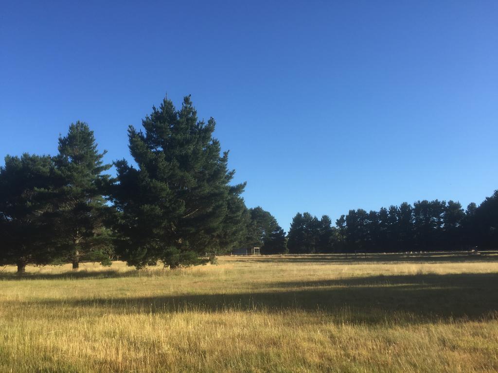 Helen'S Homestead Enfield Экстерьер фото